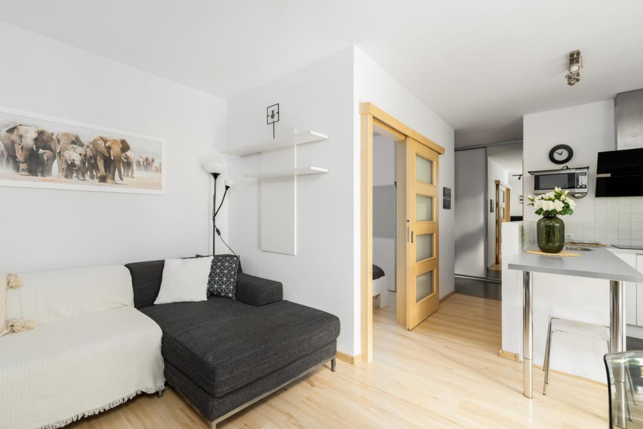 Cozy Apartment Karpia 17 With Terrace In Poznan By Noclegi Renters Exterior foto